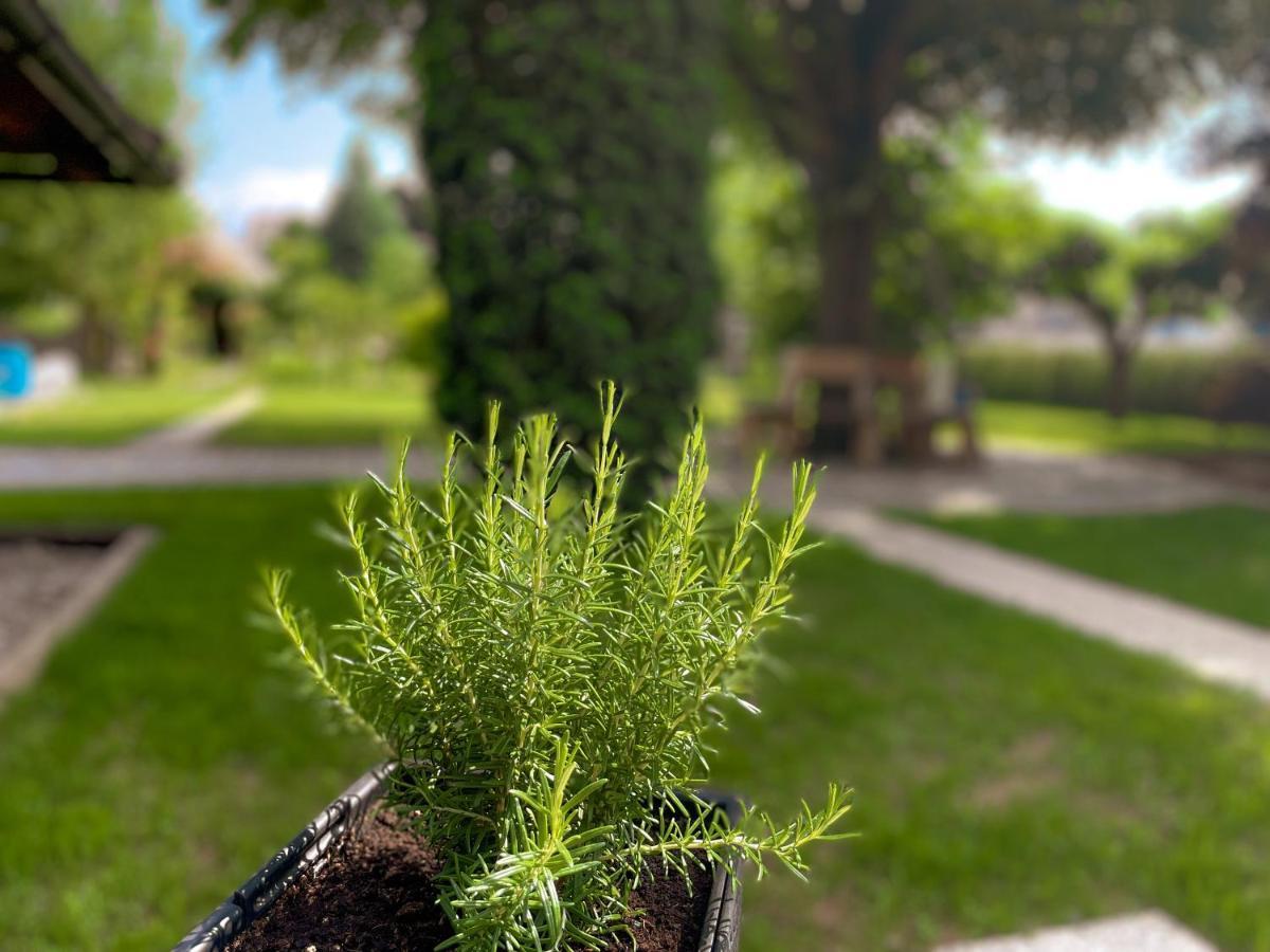 Green Oasis Garden Šenčur Exterior foto