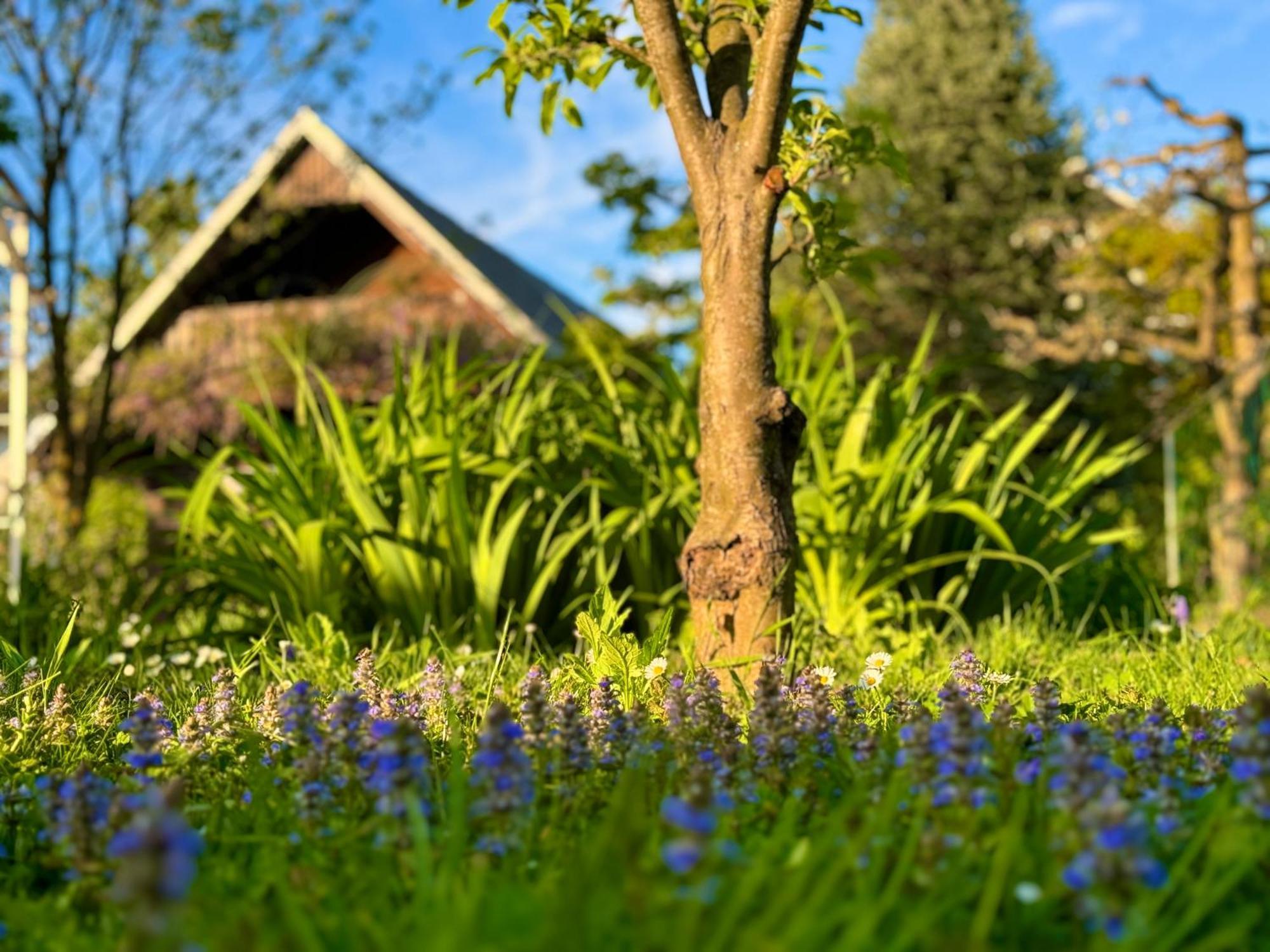 Green Oasis Garden Šenčur Exterior foto